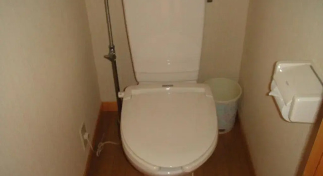 Номер Standard Onyado Hishiya Torazo