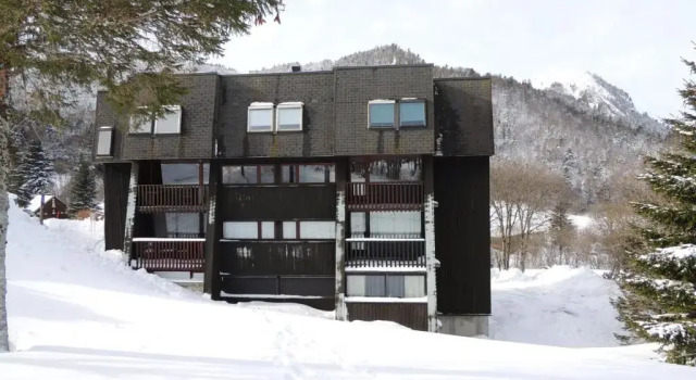 Appartement Mont-Dore, 2 pièces, 4 personnes - FR-1-415-92