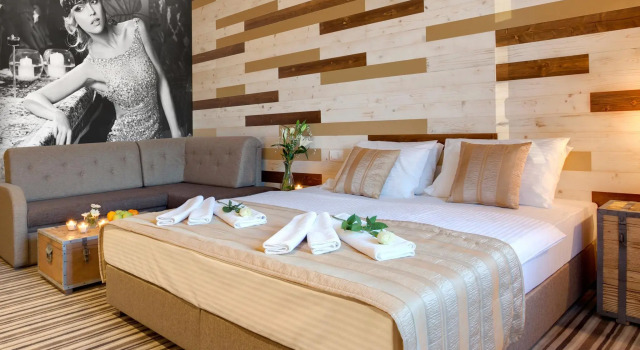 Номер Standard Hotel Zavicaj