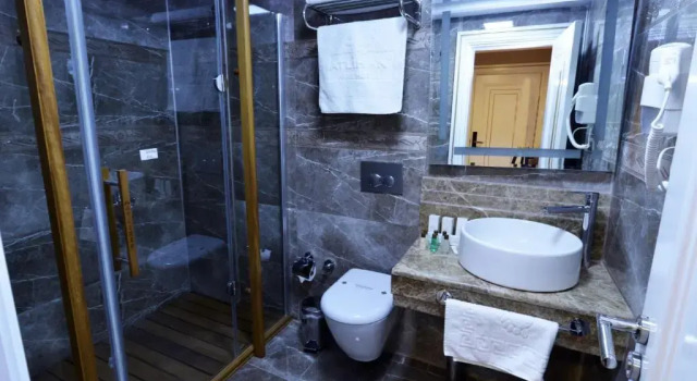 Двухместный номер Standard Atlıhanpark Hotel