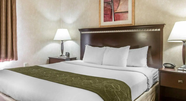 Двухместный люкс c 1 комнатой Comfort Suites Omaha East-Council Bluffs