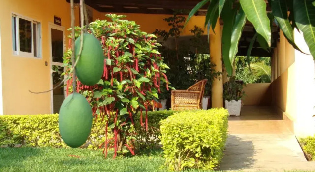 Апартаменты Aparthotel Jardin Tropical