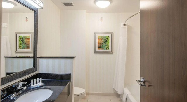 Двухместный люкс c 1 комнатой Fairfield Inn & Suites by Marriott New Braunfels