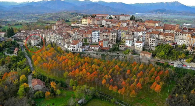 Апартаменты Langhe Apartment - Mondovì
