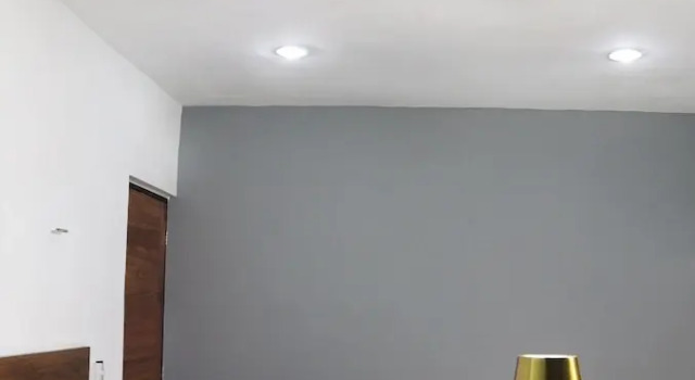 Confort studio Apartamentos 31