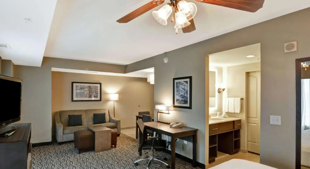 Двухместная студия-люкс Premium Homewood Suites by Hilton Houston Near the Galleria