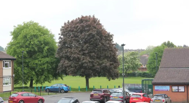 Апартаменты Chellaston Residence