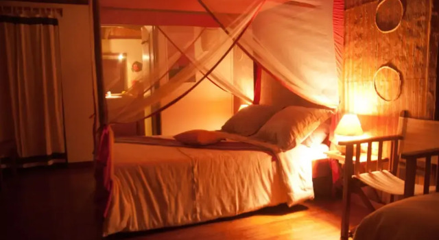 Номер Standard Nature Lodge