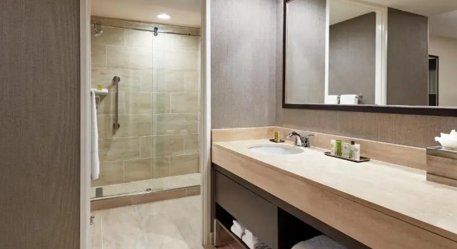 Двухместный номер Hilton Houston Plaza/Medical Center