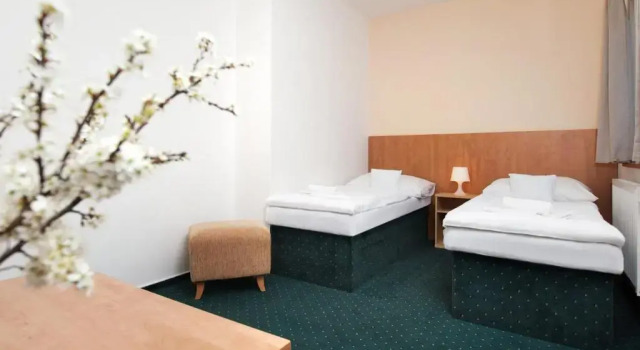 Двухместный номер Standard с балконом и с красивым видом из окна Hotel Panska Licha