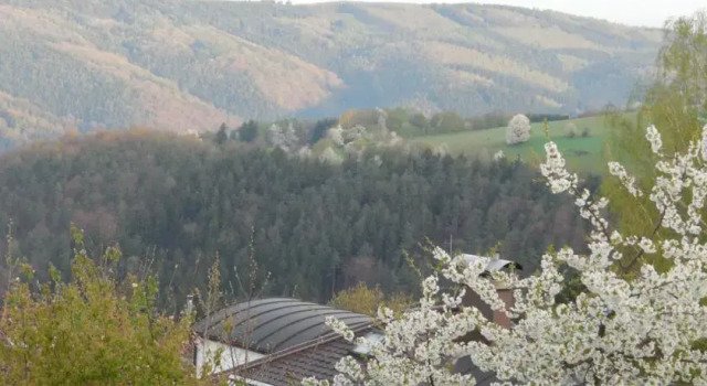 Ferienwohnung Himmelreich, Забронировать Апартаменты/квартира Оберзент земля Гессен