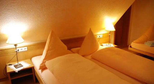 Трёхместный номер Standard Hotel-Restaurant Gasthof Adler