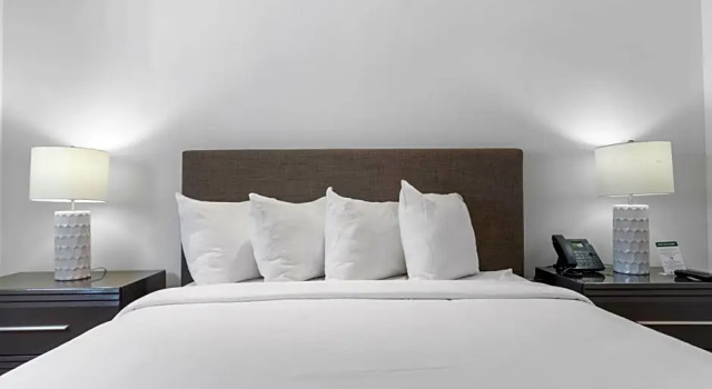 Люкс Luxury Пентхаус с 2 комнатами Fortune House Hotel Suites