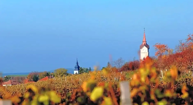 Oroszlános Borvendéglő és Borhotel