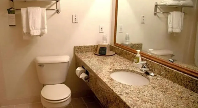 Двухместный люкс Comfort Inn & Suites Morton - Peoria
