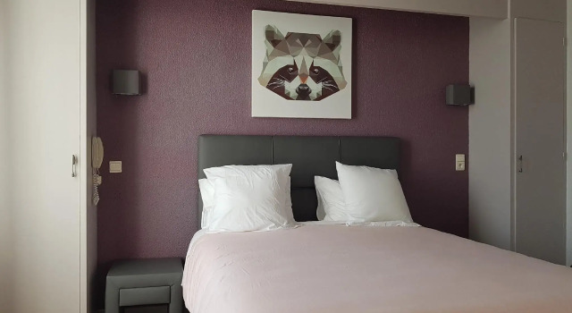 Standart oda Hotel Aragon