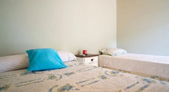 Ara Suite