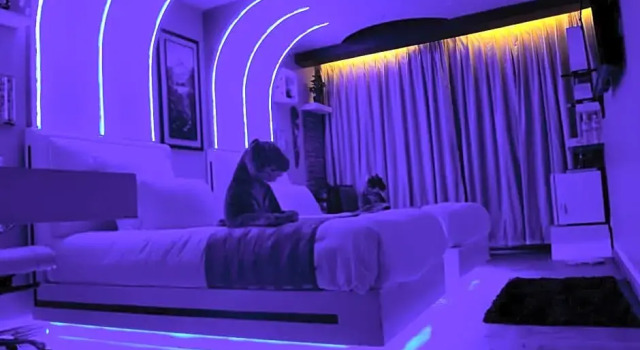 Номер Superior Royal Penguin Boutique Hotel & Spa