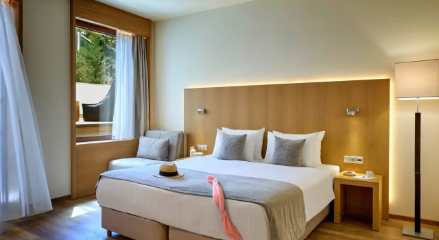 Люкс с собственным бассейном Executive Отель Zeus Thessaloniki Lazart