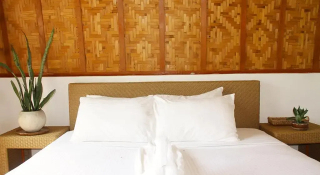 Номер Deluxe Tropical Temple Siargao Resort