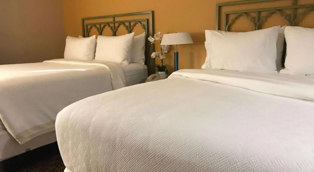 Четырёхместный номер Standard Hotel Xola