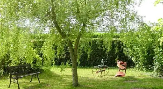 Chambres d'hôtes Le Domaine, Rezerwuj Hotel  