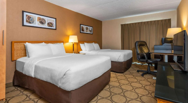 Четырёхместный номер Standard Comfort Inn