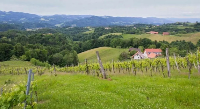 Weingut - Gästezimmer Resch Ludwig vlg. Powoden, Prenota Hotel Hotel a Stiria con parcheggio, Parcheggio