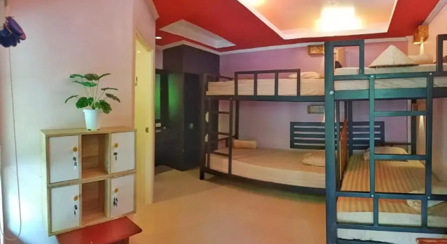 Кровать в общем номере Friend Seeker