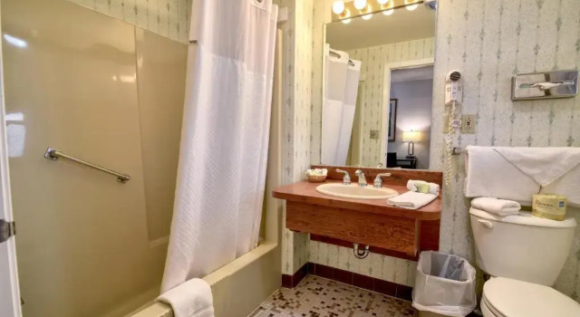 Двухместный номер Standard с частичным видом Roosevelt Inn & Suites Saratoga Springs