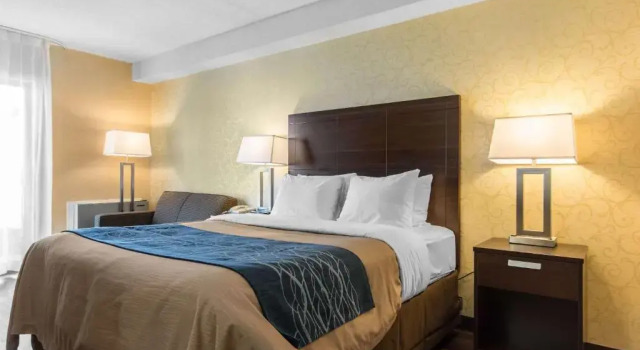 Двухместный номер Standard Цокольный этаж Comfort Inn
