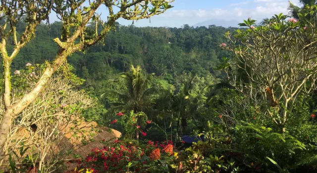 Villa Indah Ubud, Rezervovat Vila Chaty v Bali, Chalupa