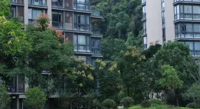Xiangpao Homestay, Book Hotel Fuzhou Fujian
