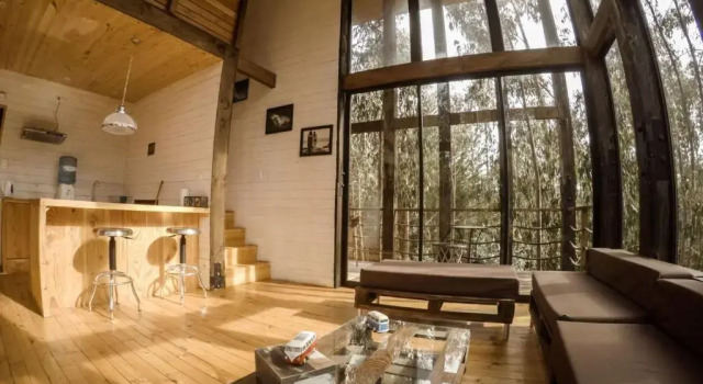 Бунгало Deluxe Tripanko Lodge & Bungalows
