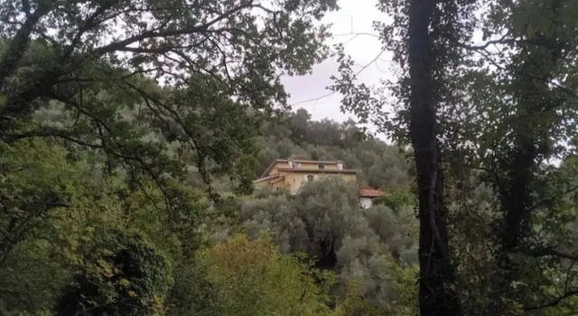 Номер Standard Room-a Yurt Among Olive Trees and the se