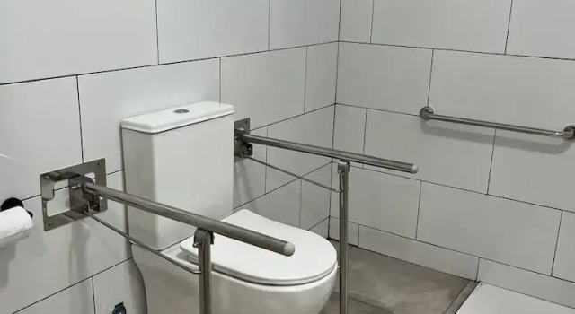 Golondrinas de Alicante.