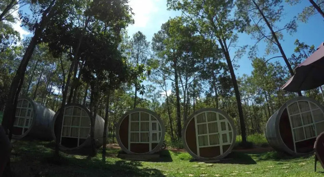 Habitación doble Estándar vKirirom Pine Resort