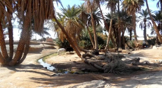 Bivouac La Dune Blanche, Rezerwuj Hotel Hotele w Souss-Massa-Draa z basenem, Basen