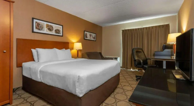 Двухместный номер Standard Цокольный этаж Comfort Inn Cobourg - Port Hope