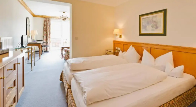 Двухместный номер Standard Hotel Kaufmann
