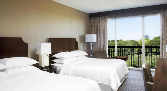 Номер Standard Sheraton Orlando North