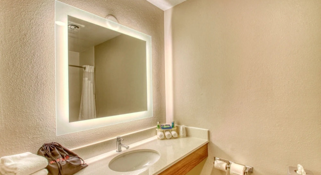 Двухместный люкс Holiday Inn Express Hotel & Suites Oshkosh - State Route 41 by IHG