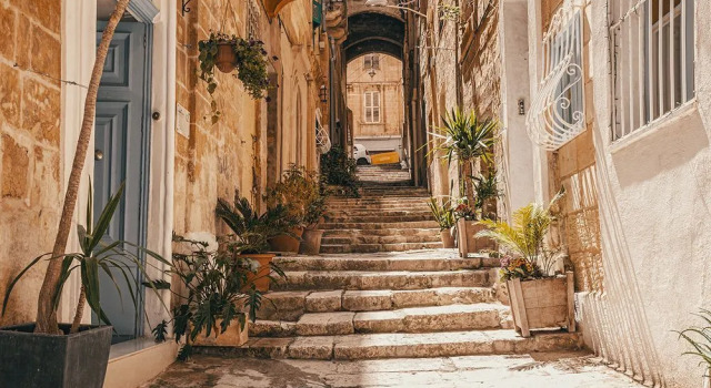 Cornelius Valletta Properties