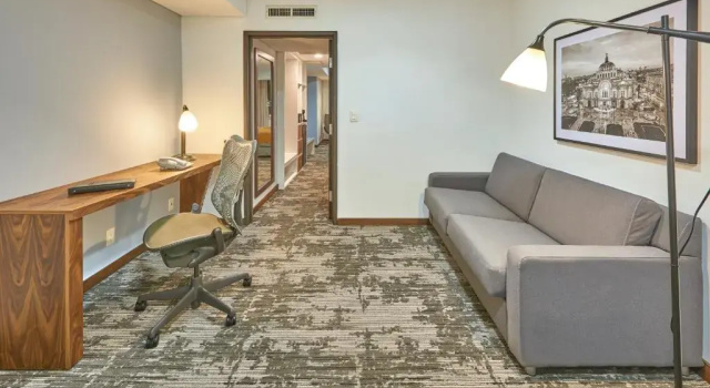 Люкс Hilton Garden Inn Mexico City Polanco