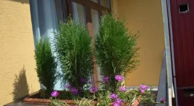 Guest House Madonna, Book Guesthouse Kobuleti 