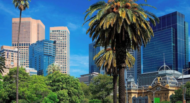 Четырёхместный номер Standard с видом на сад Sheraton Melbourne Hotel
