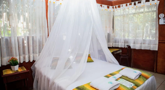 Одноместный номер Standard с видом на сад Avatar Amazon Lodge & Canopy Park