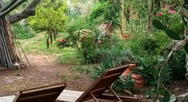 Студия Comfort Casa Orsoni