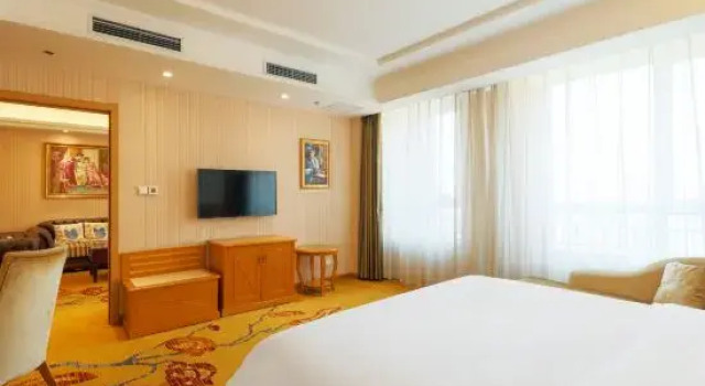 Люкс Business Vienna Hotel (Chengyang Wanxianghui Store)