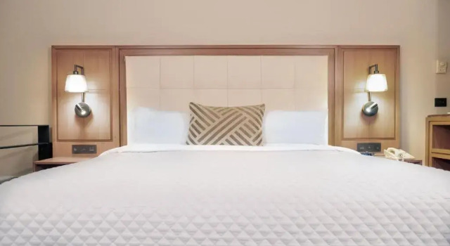 Двухместный номер MS Milenium Monterrey Curio Collection by Hilton